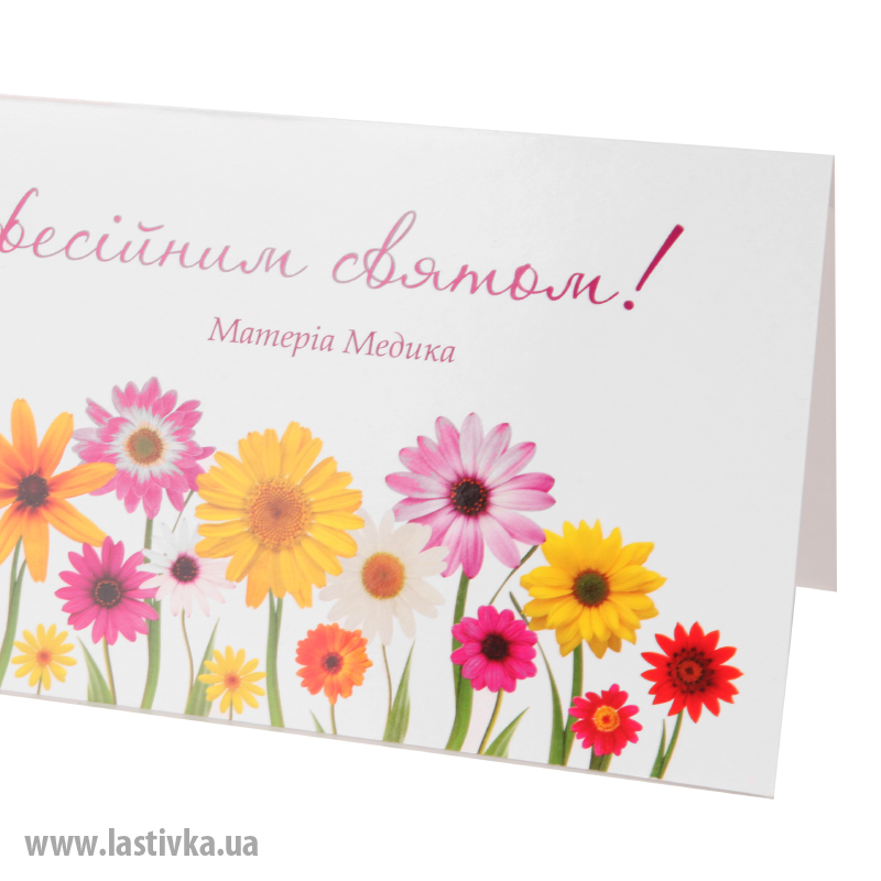 фото номер 1 N8053, Листівки widget.lastivka.ua